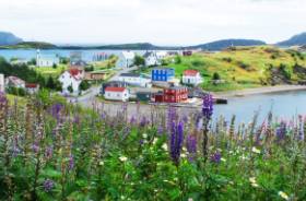 Sélection des communautés pour le projet pilote d’immigration rurale et nordique
